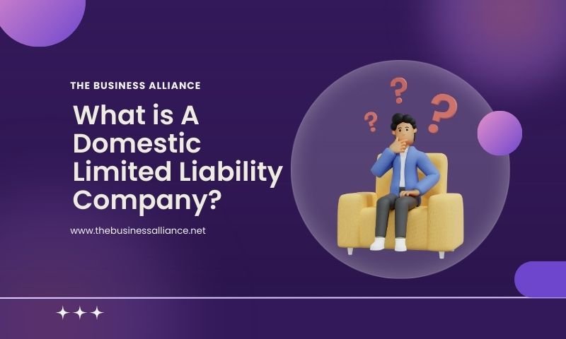 What is A Domestic Limited Liability Company